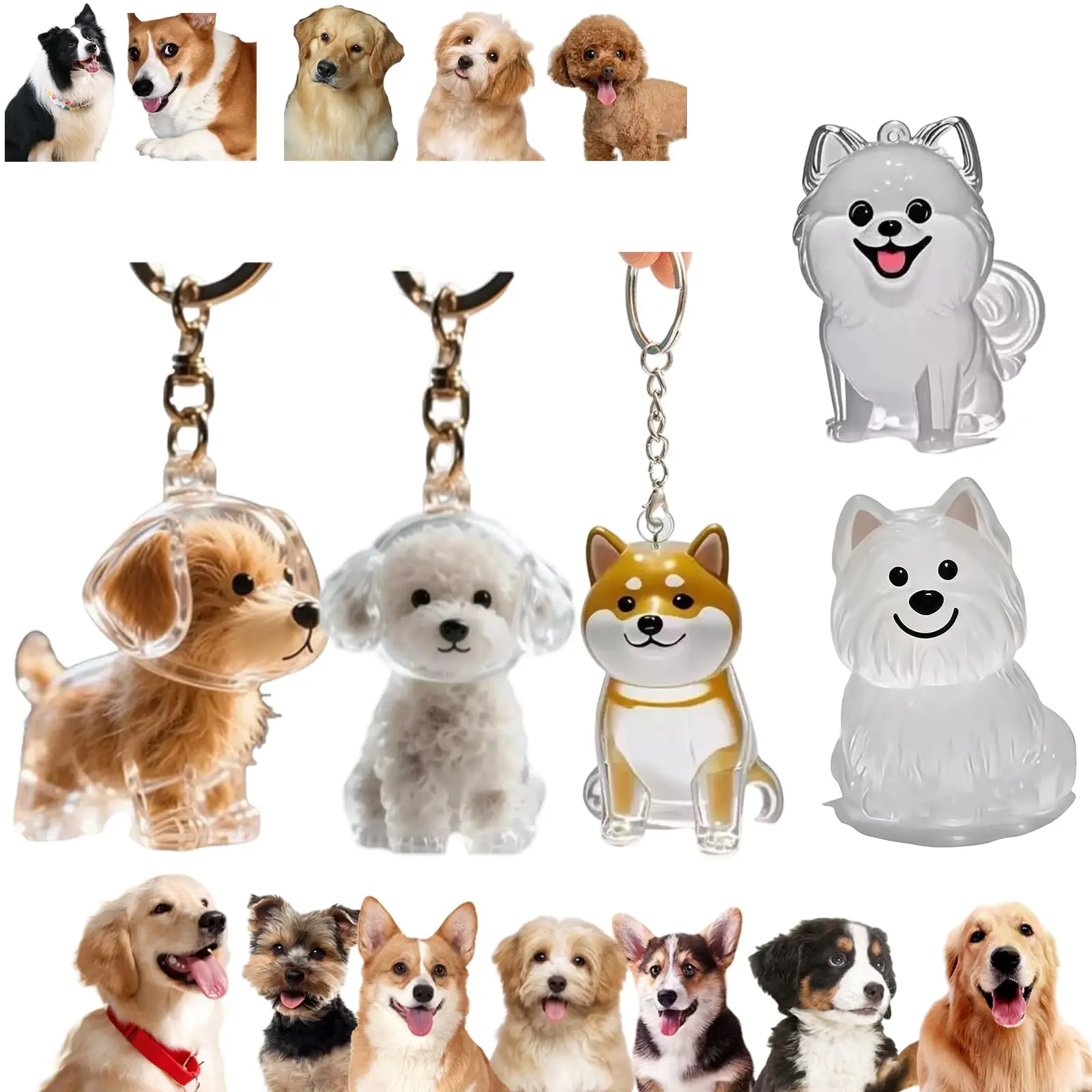 Pet Supplies Outlet - Şeffaf evcil hayvan anıt kolye anahtarlık