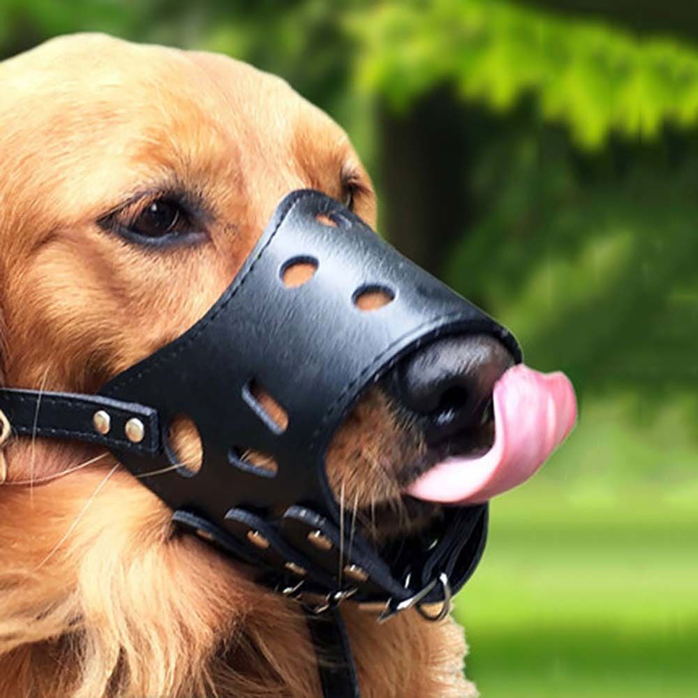 Pet Supplies Co - Anti-ısırma Güvenli Anti Bark Çiğneme Küçük