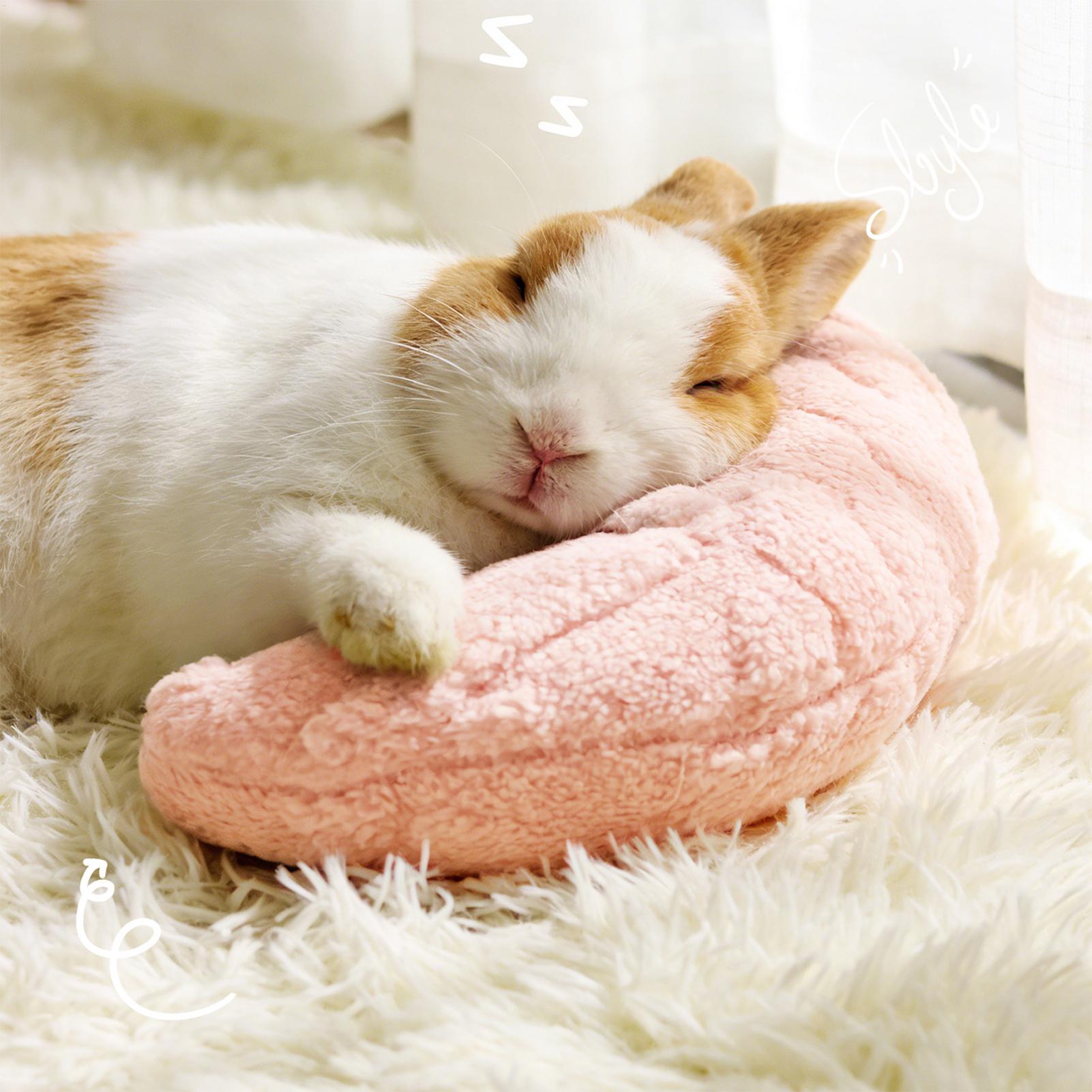 Pet Supplies App - Evcil Hayvanlar İçin Uygun Uyku Yastığı,