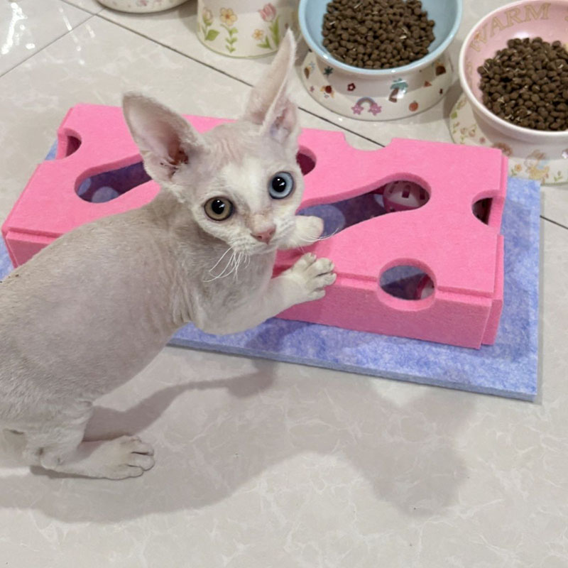 Yeni Kedi Bulmaca Oyuncakları  - Cat Tunnel Toy incelemesi ve fiyatı