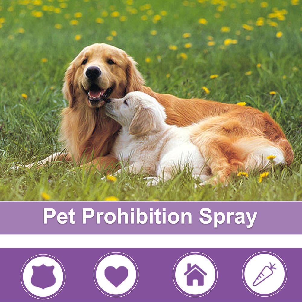 Evcil Hayvan Sakinleştirici Sp - Pet Supplies App incelemesi ve fiyatı