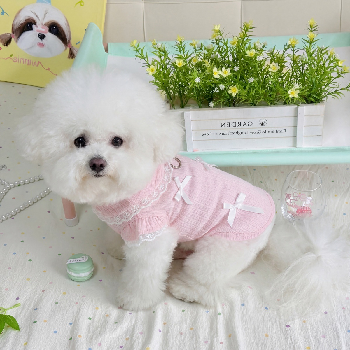 Pet Bahar Dantel Yay Yelek Ted - Pet Supplies Co incelemesi ve fiyatı