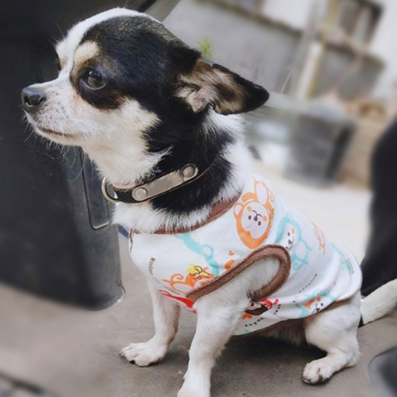 Yaz köpek yelek sevimli karika - Pet Supplies Co incelemesi ve fiyatı