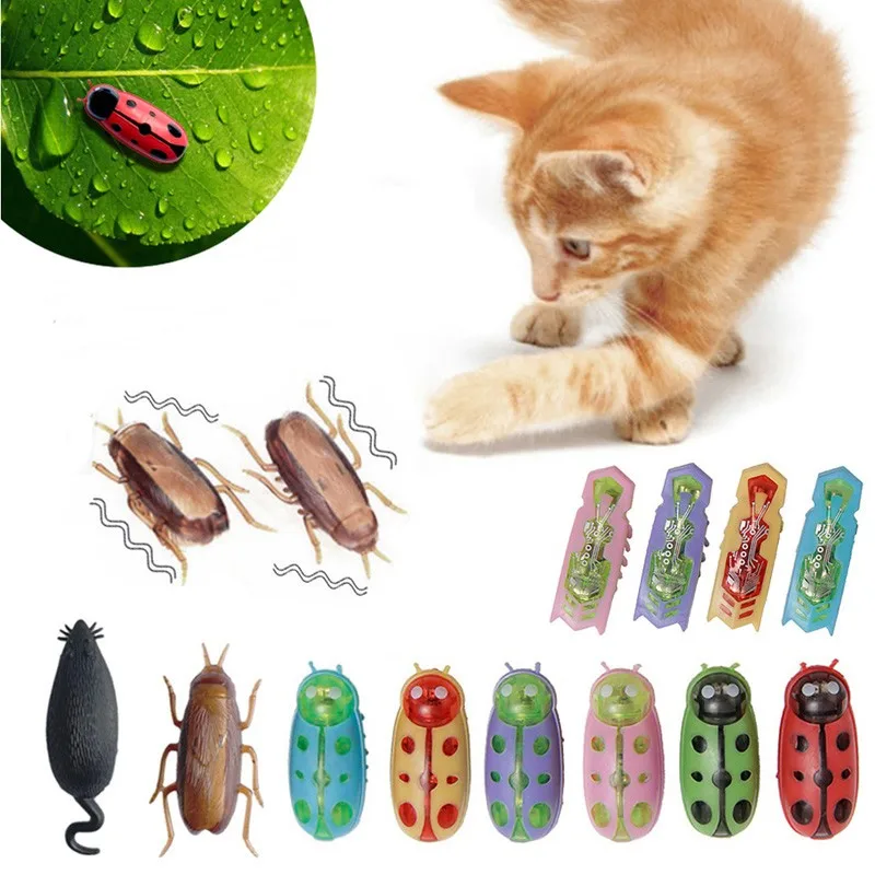 Komik Elektrikli Bugs Catnip O - Cat Tunnel Toy incelemesi ve fiyatı