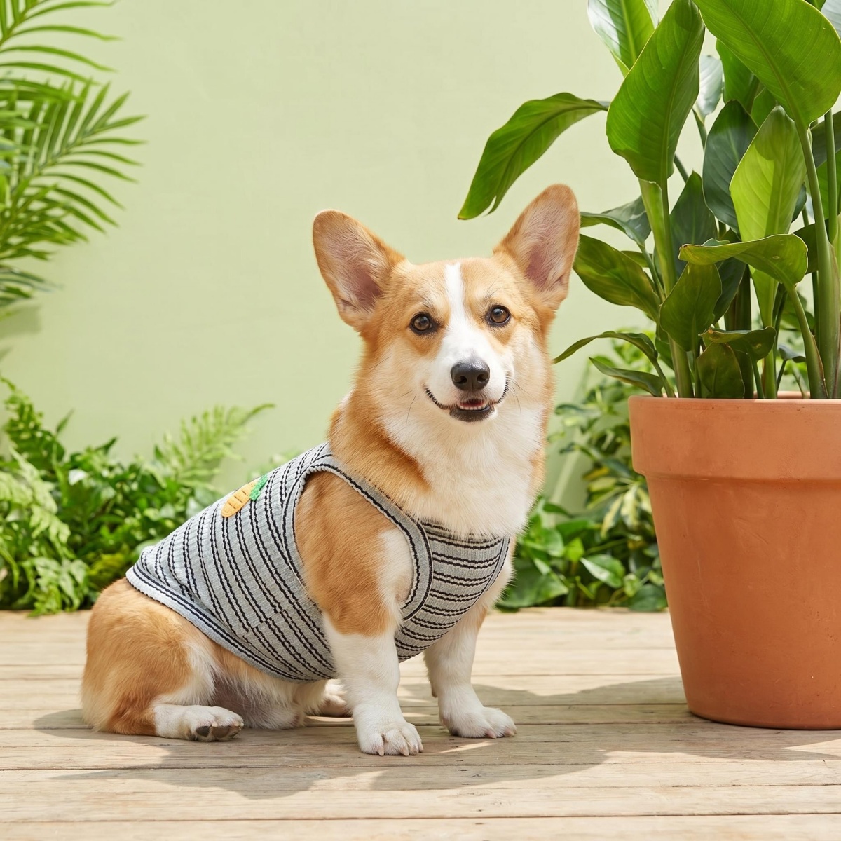 1 adet yaz çizgili nakış köpek - Pet Supplies Co incelemesi ve fiyatı