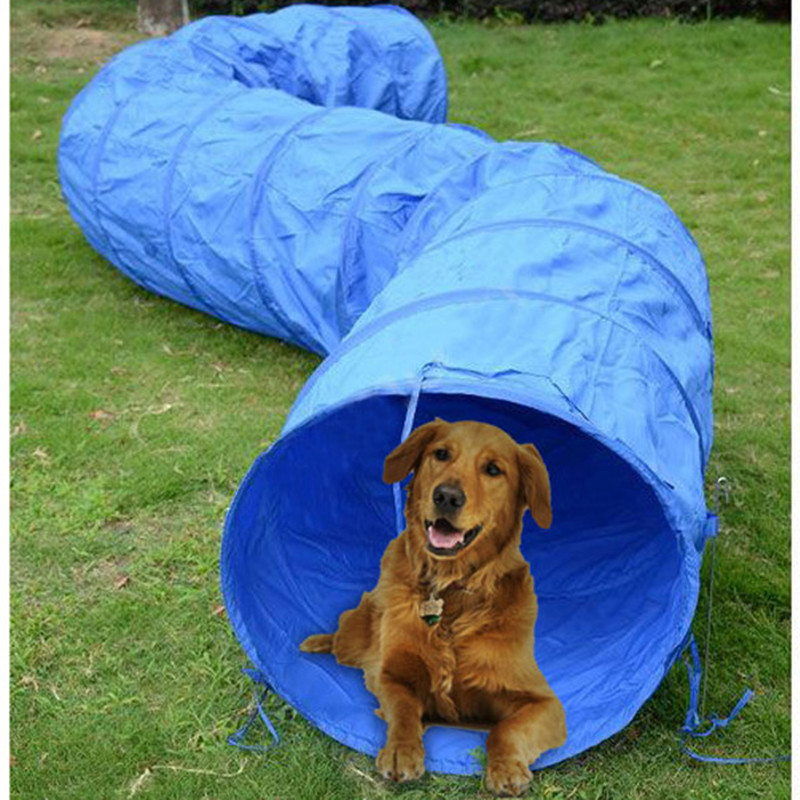 Köpek Çeviklik Eğitim Ekipmanl - Cat Tunnel Toy incelemesi ve fiyatı