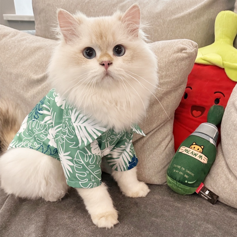 Yazlık Hawaii Plaj Stili Köpek - Pet Supplies Co incelemesi ve fiyatı