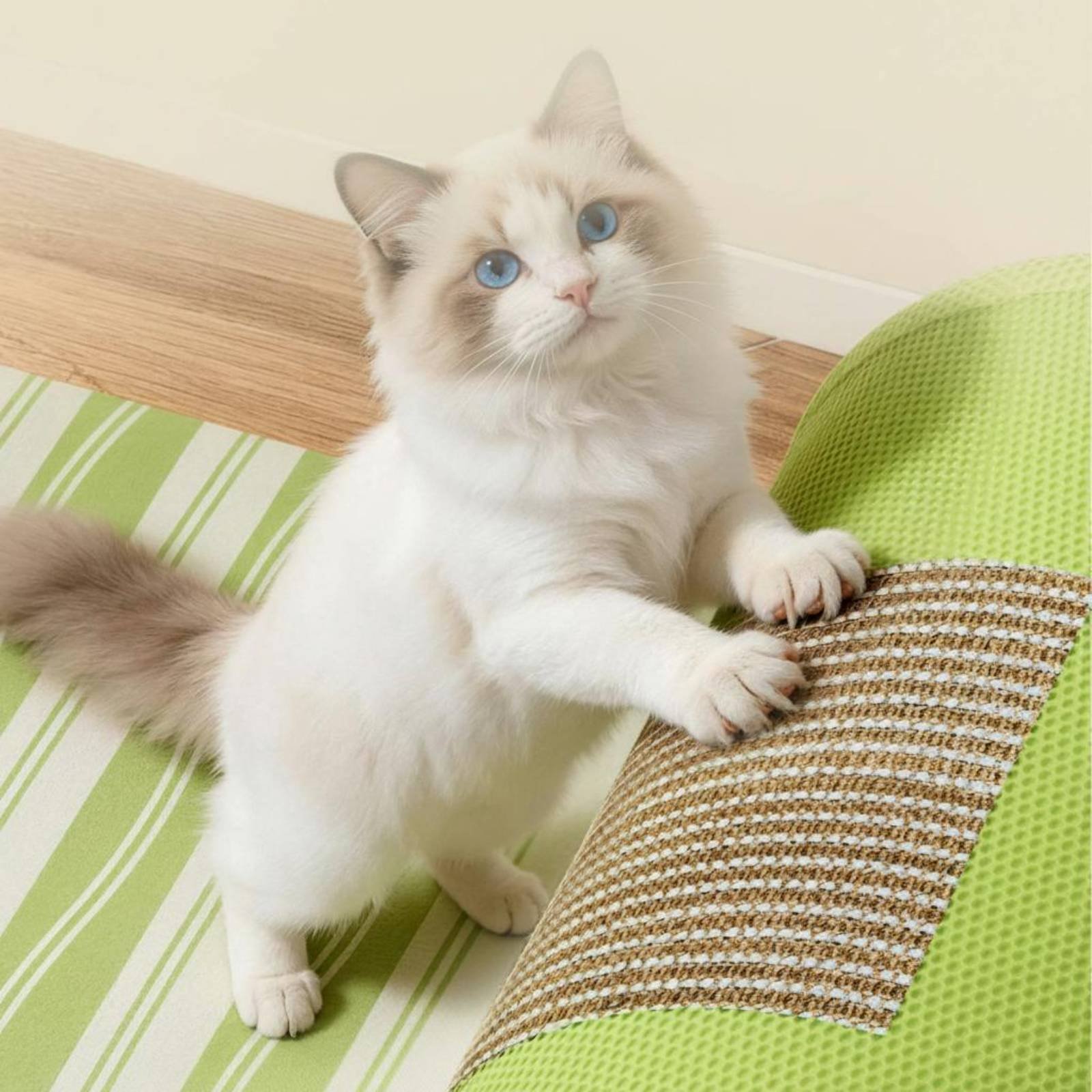 Kedi Tırmalama Tüneli Asılı Oy - Cat Tunnel Toy incelemesi ve fiyatı