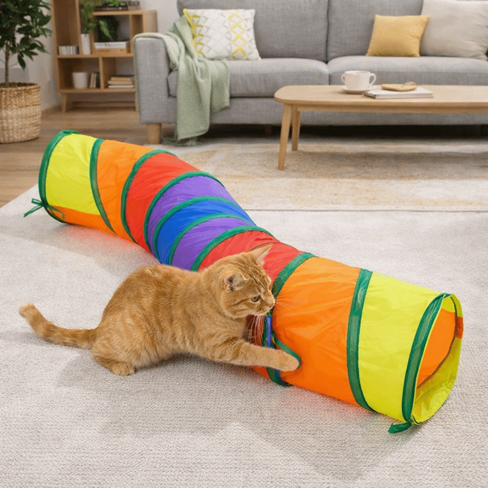 Kedi Gözetleme Deliği Oyuncağı - Cat Tunnel Toy incelemesi ve fiyatı