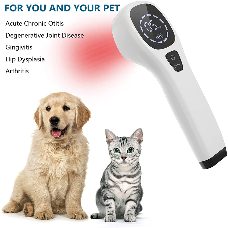 2x808nm Soğuk Lazer Terapi Cih - Pet Supplies Outlet incelemesi ve fiyatı